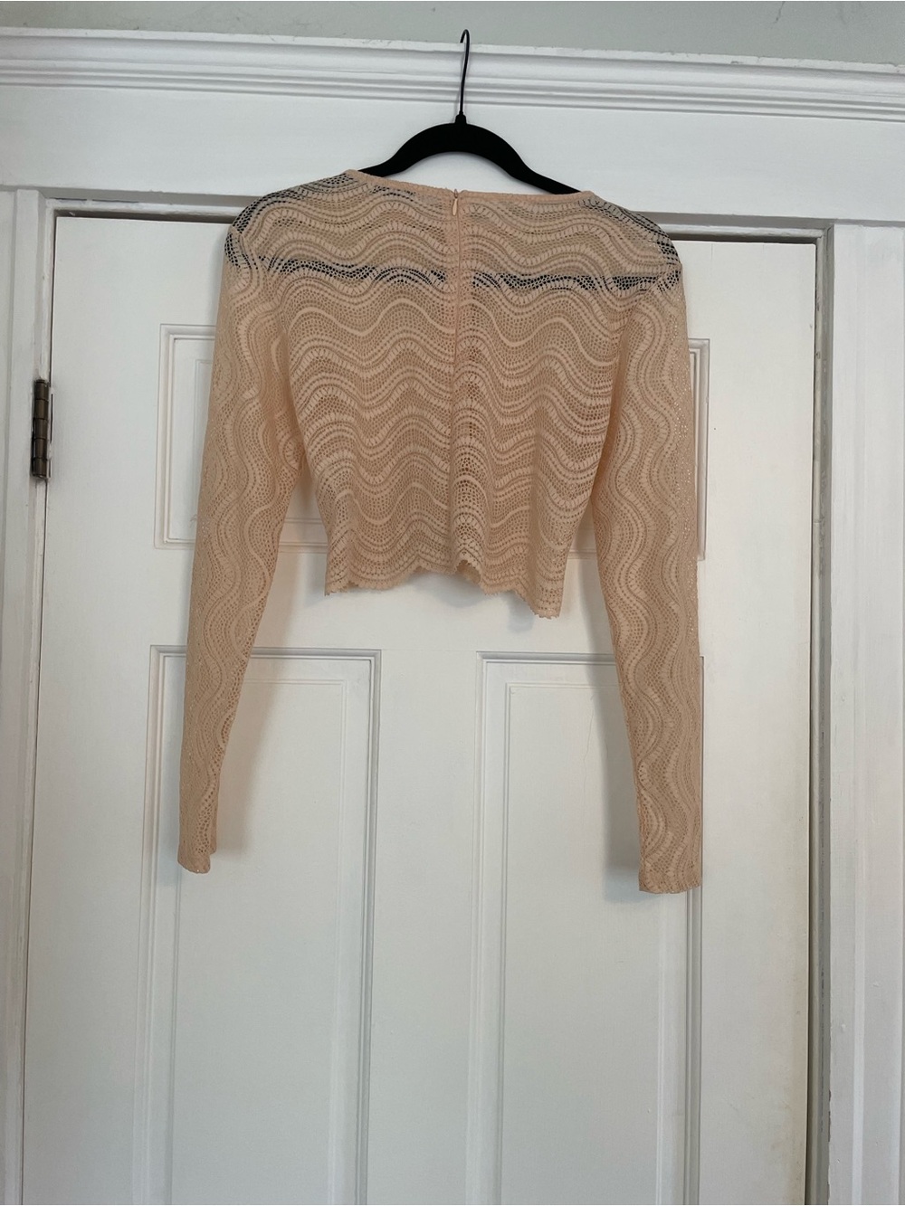 Zara Beige Long-Sleeve sheer Cropped Lace Top- Size M